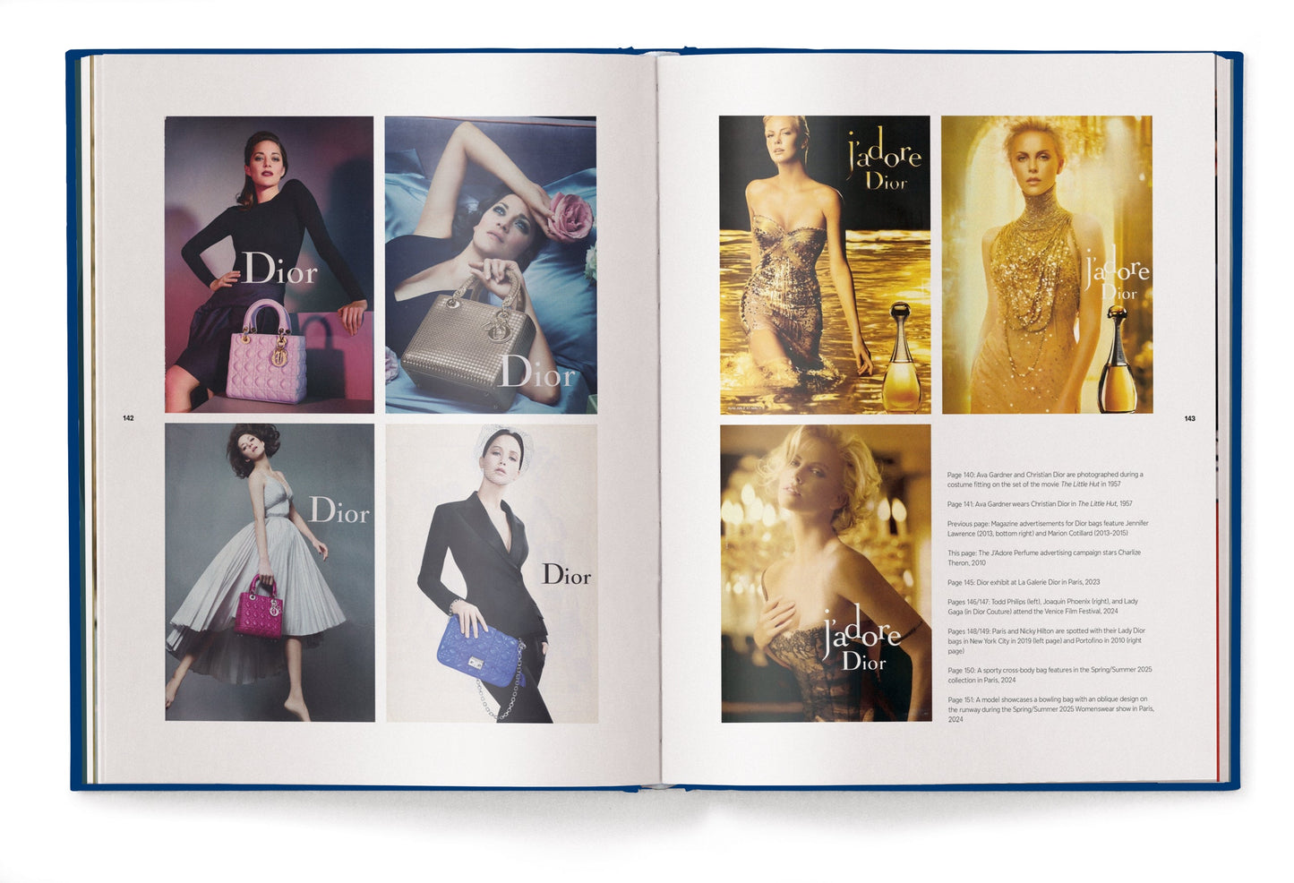 The Ultimate Guide to Dior Bags Book