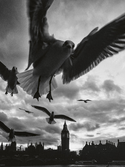 London in Frames Book