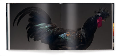 Feathered Elegance Book