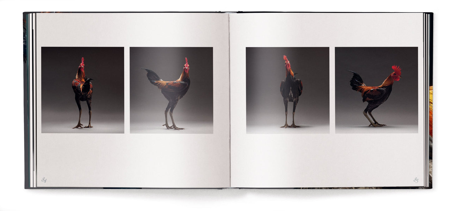 Feathered Elegance Book