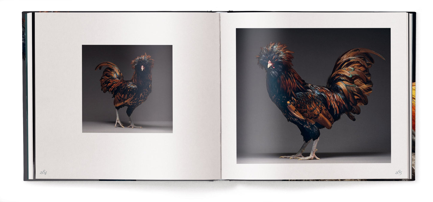 Feathered Elegance Book