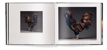 Feathered Elegance Book