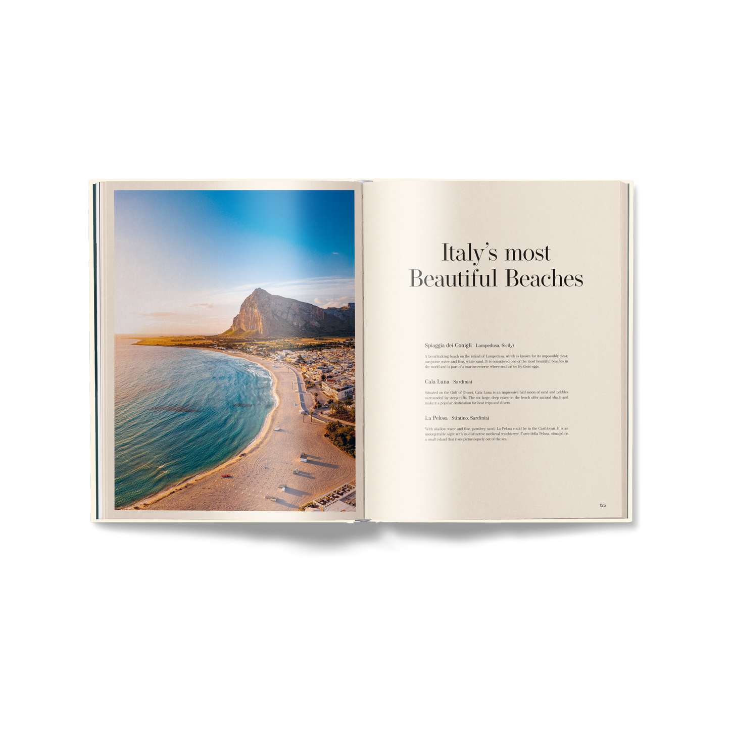 Italianess (English Edition) Book