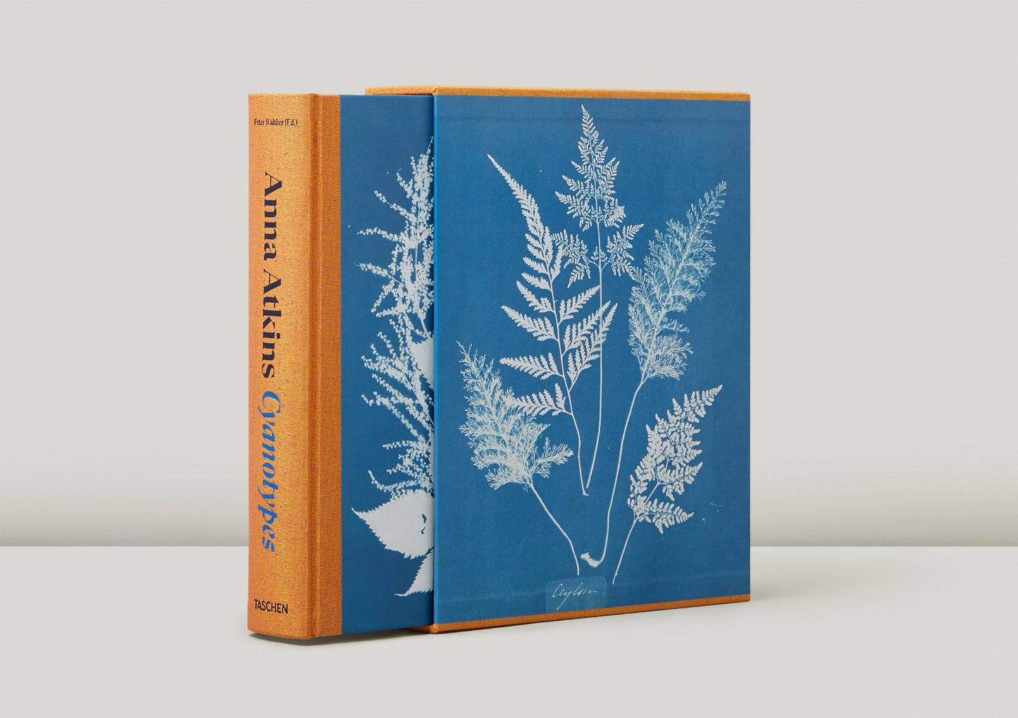 Anna Atkins. Cyanotypes (German, French, English) (FFE) Book