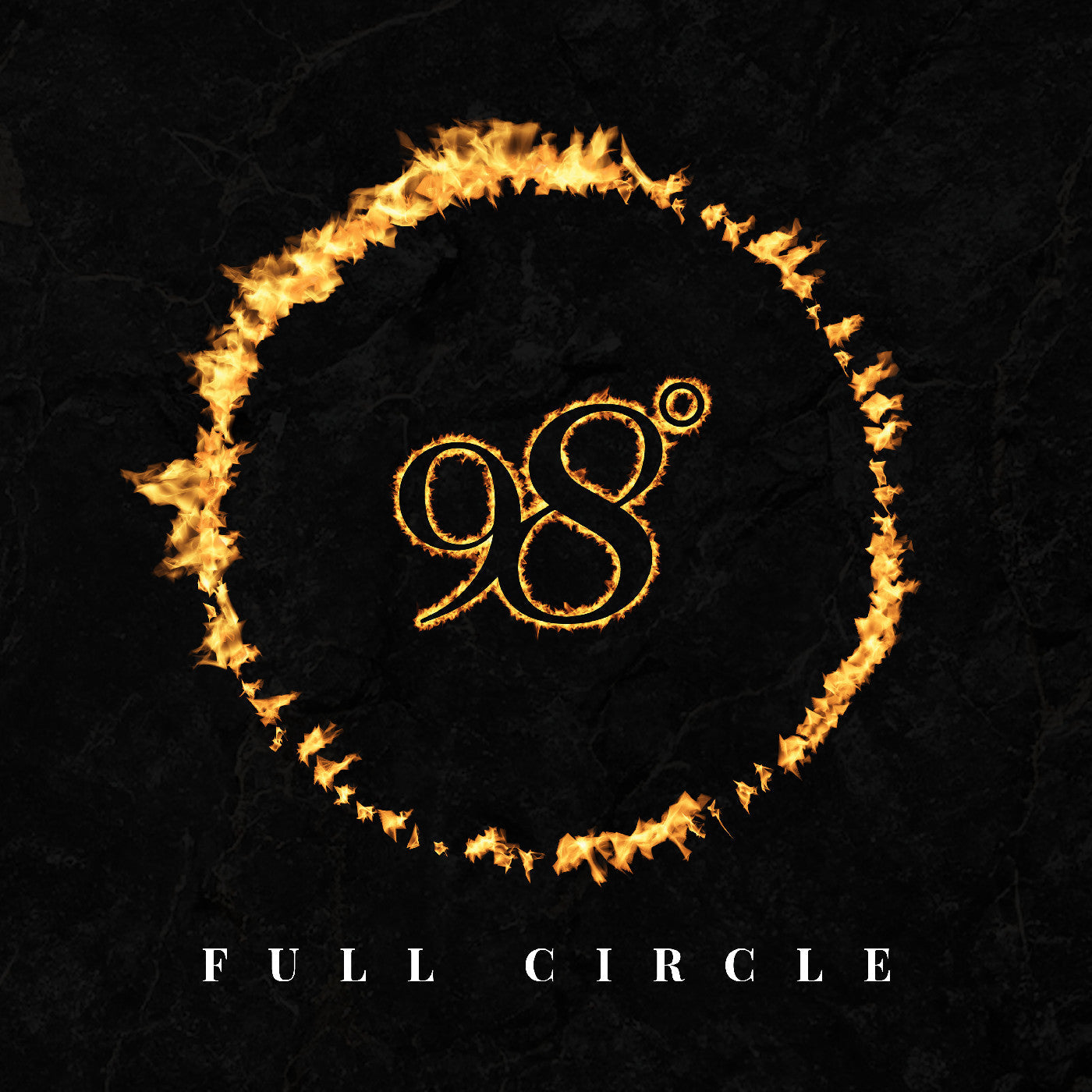 Full Circle Vinyl Record