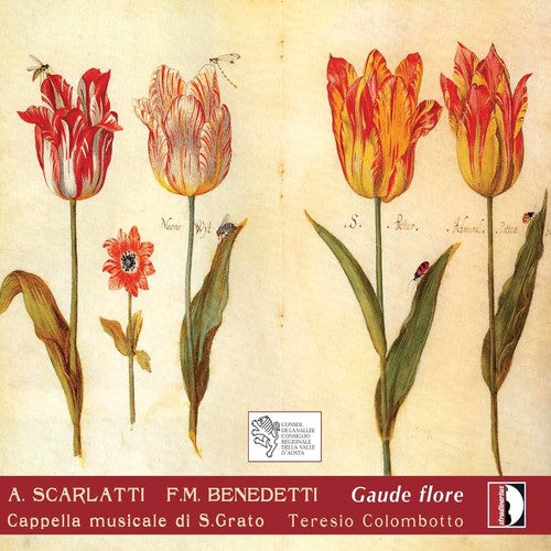 the album cover for Teresio Colombotto - Gaude Flore: Italian Music of the 17th & 18th Century