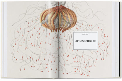 The Art and Science of Ernst Haeckel. 45th Ed. (English) Book