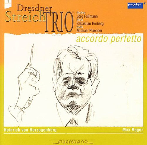 the album cover for Herzogenberg/Reger - Accordo Perfetto 1: Trio/String Trio Op.77B