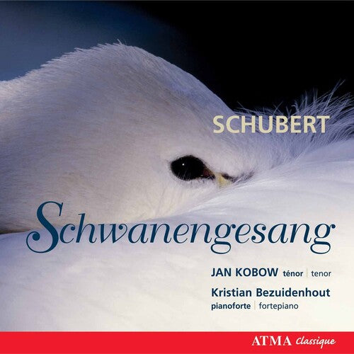 Schubert / Mendelssohn / Kobow / Bezuidenhout - Schwanengesang / Lieder - Music CD