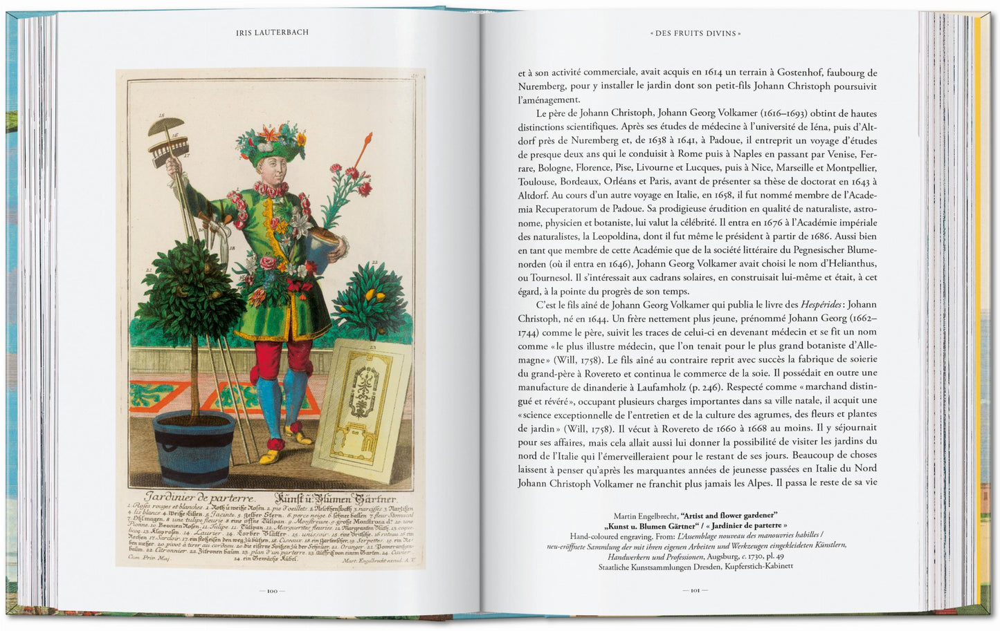 J. C. Volkamer. The Book of Citrus Fruits. 45th Ed. (German, French, English) Book