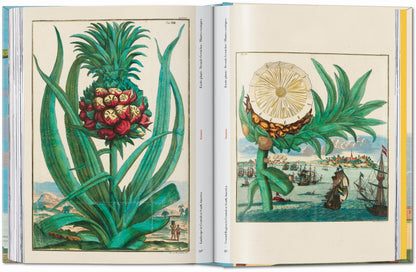J. C. Volkamer. The Book of Citrus Fruits. 45th Ed. (German, French, English) Book