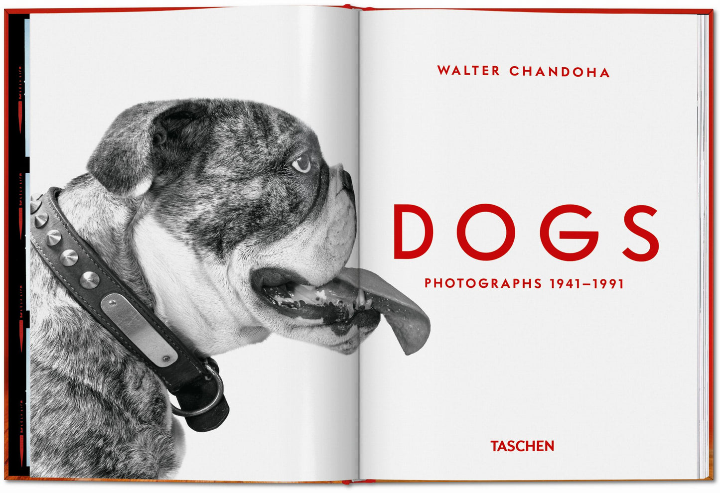 Walter Chandoha. Dogs. Photographs 1941–1991 (English) Book