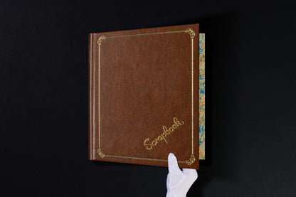 Stanley Kubrick's The Shining (English) Book