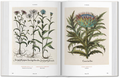 Basilius Besler. Florilegium. The Book of Plants (English) Book