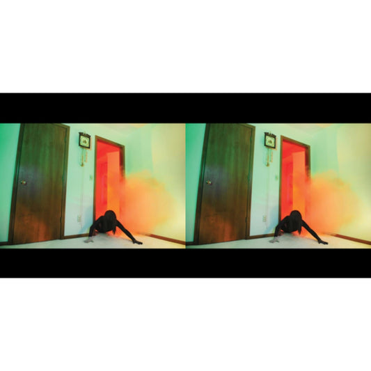 Adult. - Becoming Undone (Carpet Coloured LP Vinyl) & Becoming Undone