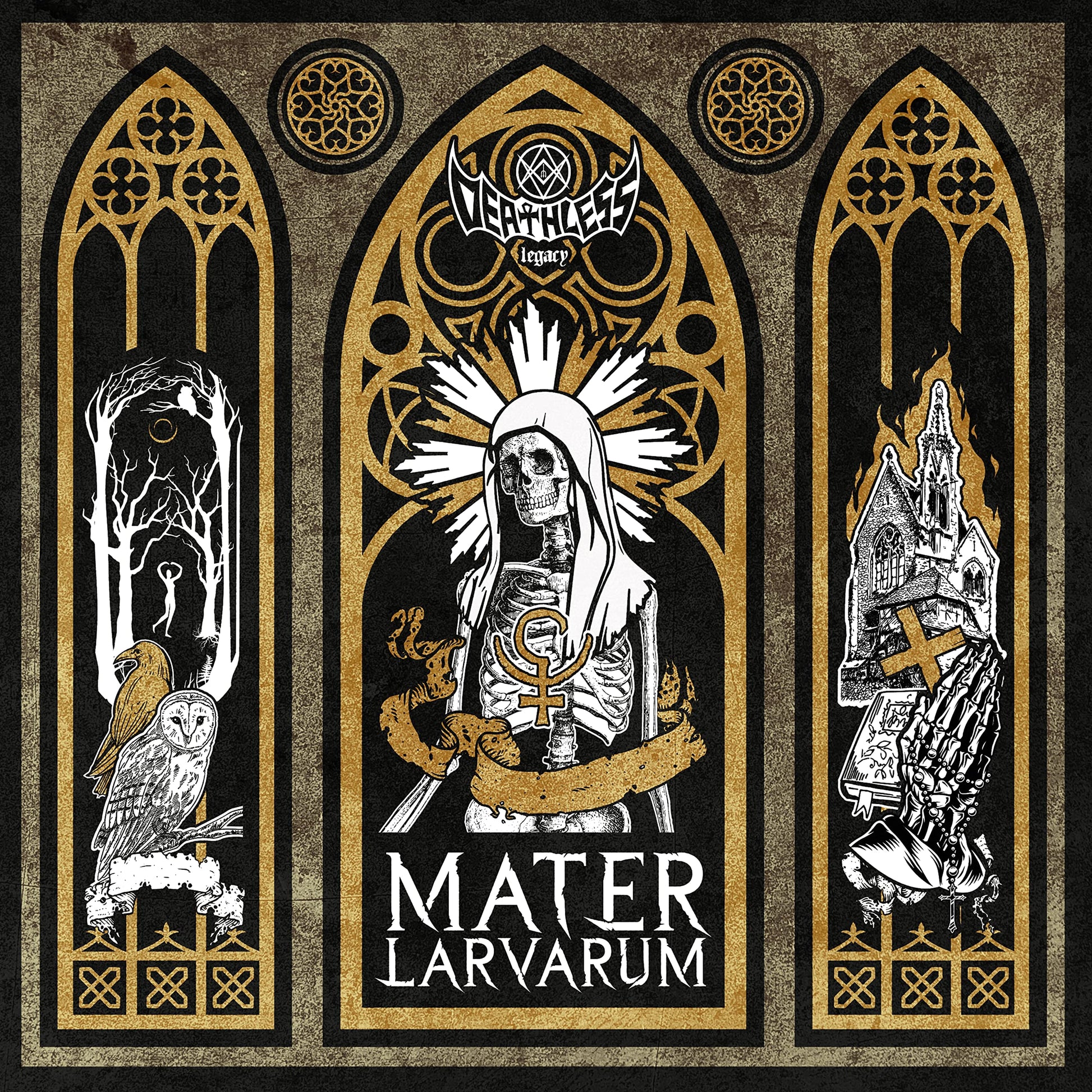 Deathless Legacy - Mater Larvarum [LP] Vinyl Record Album Cover