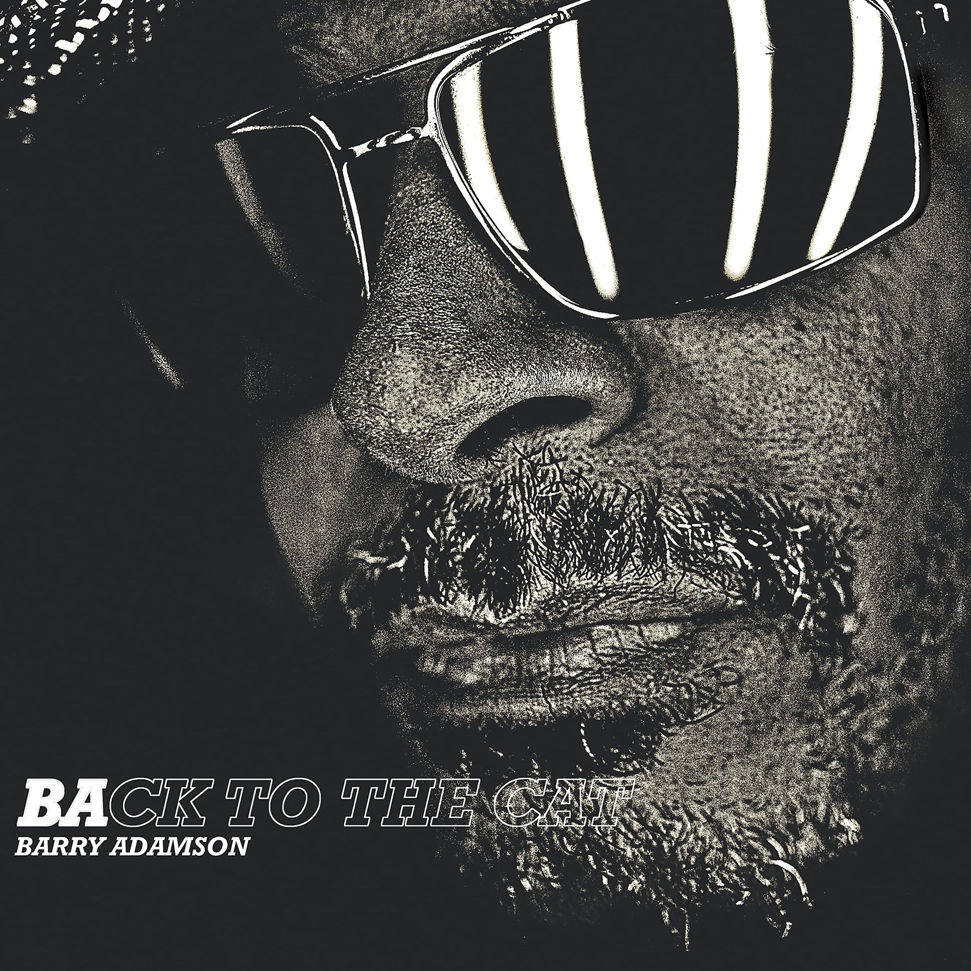 Barry Adamson - Back To The Cat [LP] Vinyl Record Album Cover