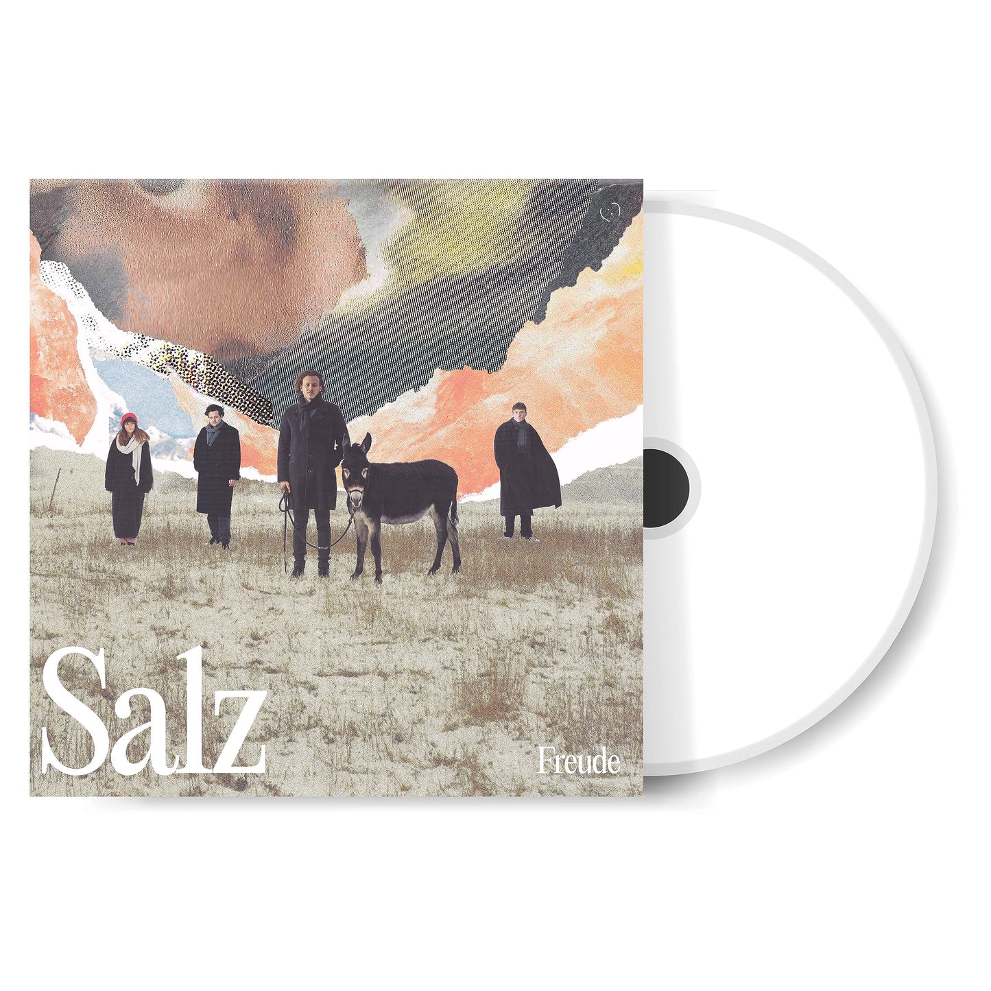 Freude - Salz (Ger) [LP] Vinyl Record Album Cover
