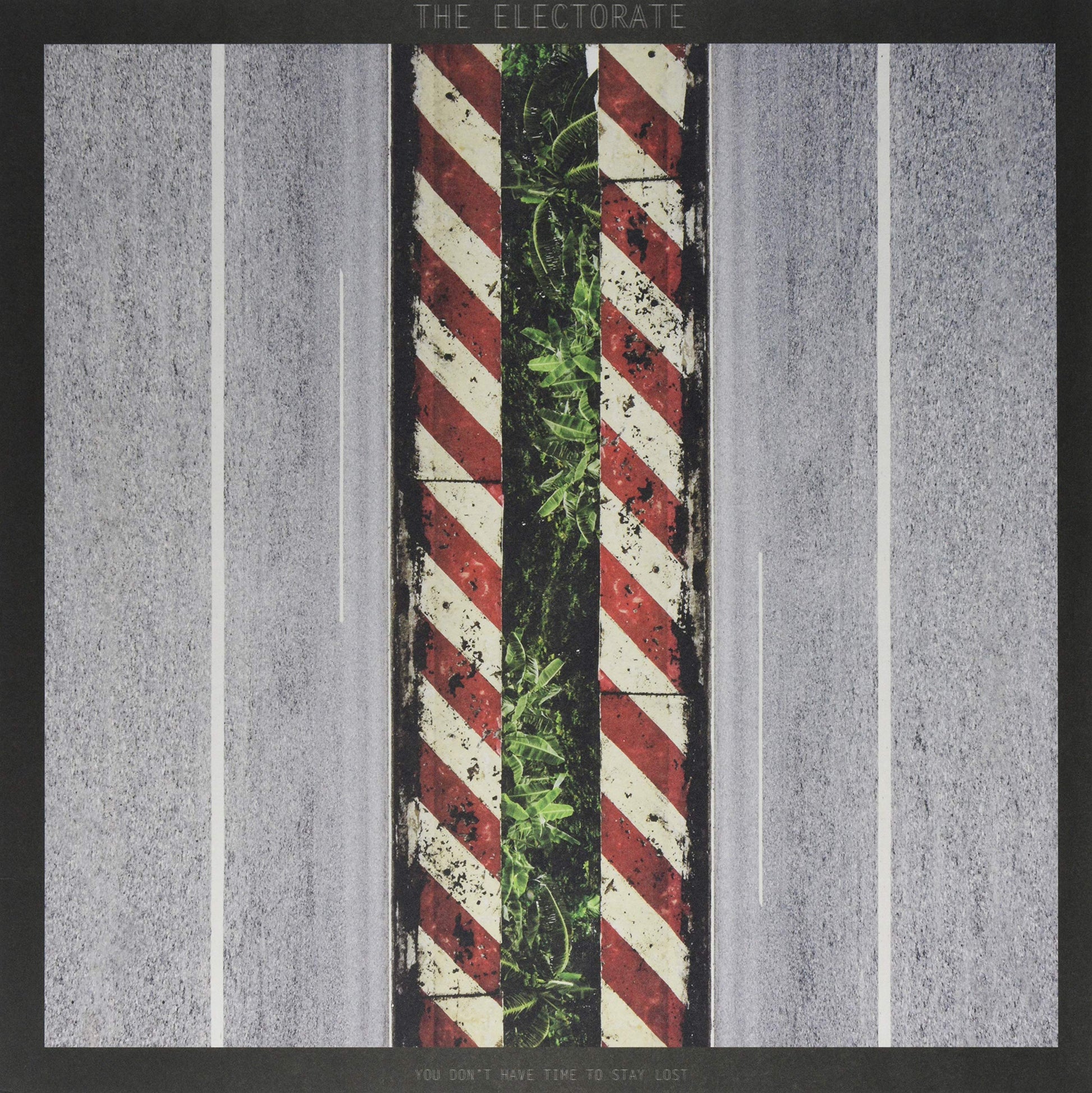 Electorate - You Don't Have Time To Stay Lost [LP] Vinyl Record Album Cover