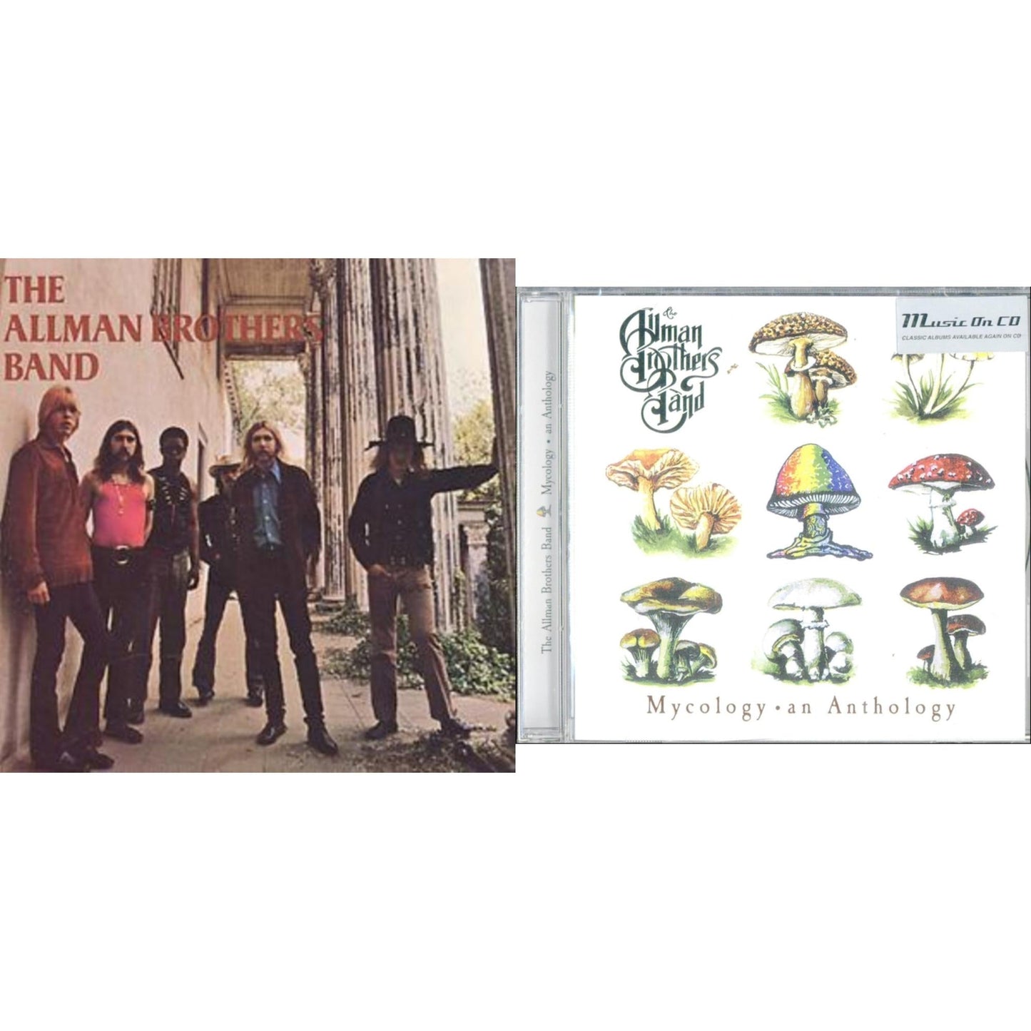 Allman Brothers Band - Allman Brothers Band & Mycology: An Anthology (Import) - CD Bundle
