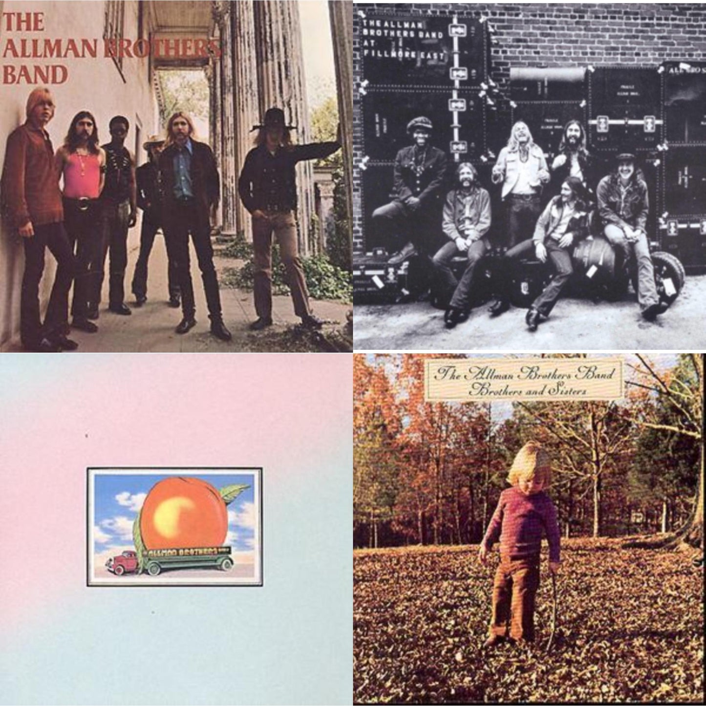Allman Brothers Band - Allman Brothers Band & Live At Fillmore East & Eat A Peach & Brothers & Sisters - CD Bundle