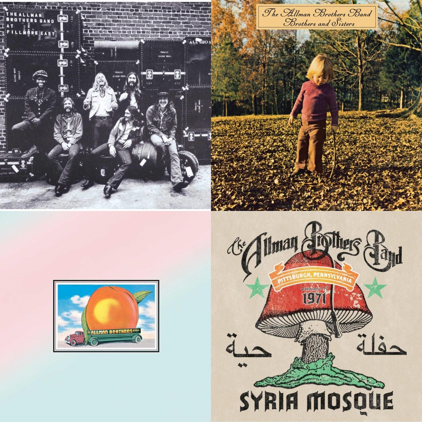 Allman Brothers Band - Live At Fillmore East & Brothers & Sisters & Eat A Peach (2LP) & Syria Mosque: Pittsburgh, Pa January 17, 1971 (Live) (Pittsburgh Steel Gray Vinyl/2LP)
