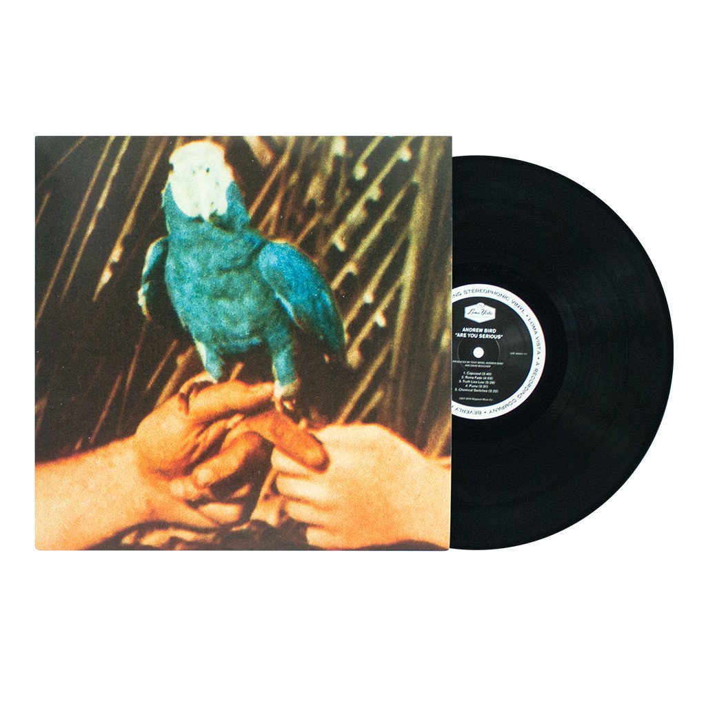 Andrew Bird Are You Serious Vinyl Record