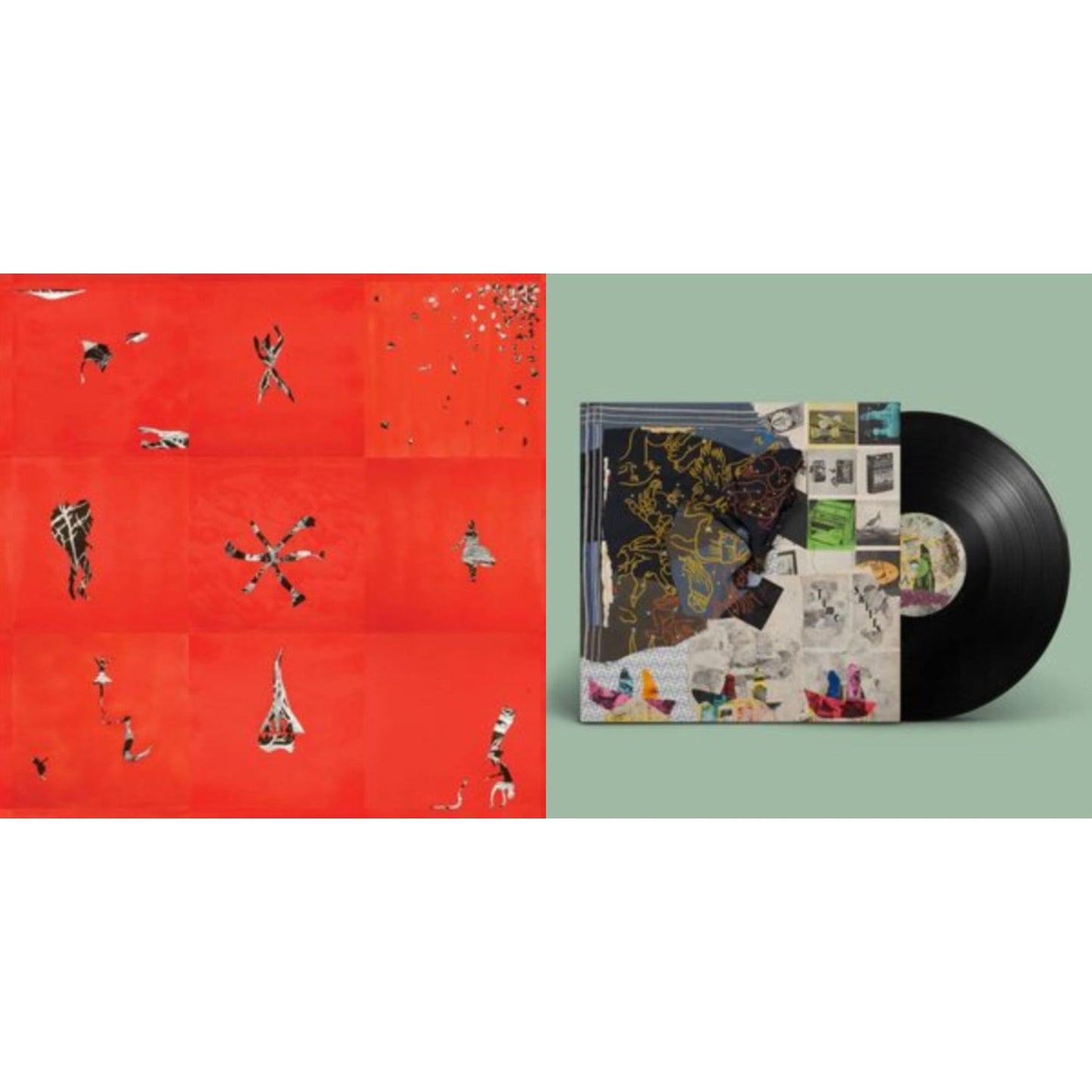 Animal Collective - Hollinndagain & Time Skiffs (2LP/Dl Card)
