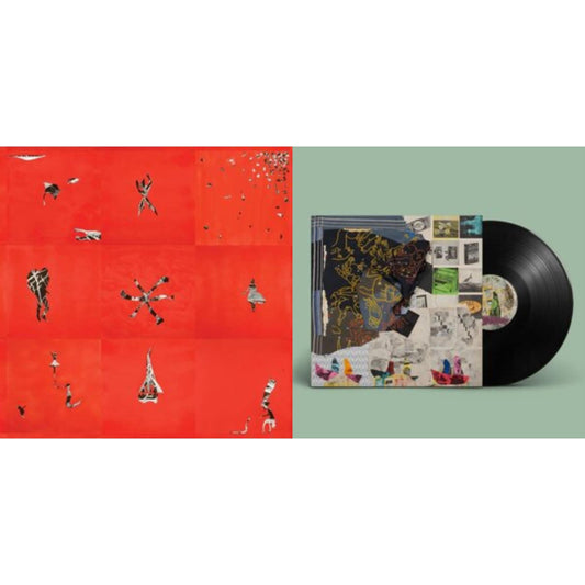 Animal Collective - Hollinndagain & Time Skiffs (2LP/Dl Card)