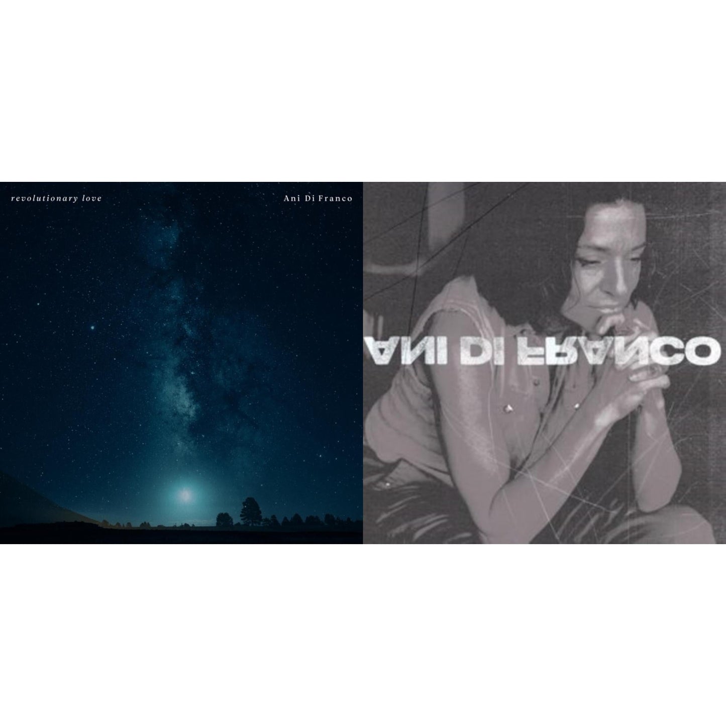 Ani Difranco - Revolutionary Love (2LP) & Unprecedented Sh!T