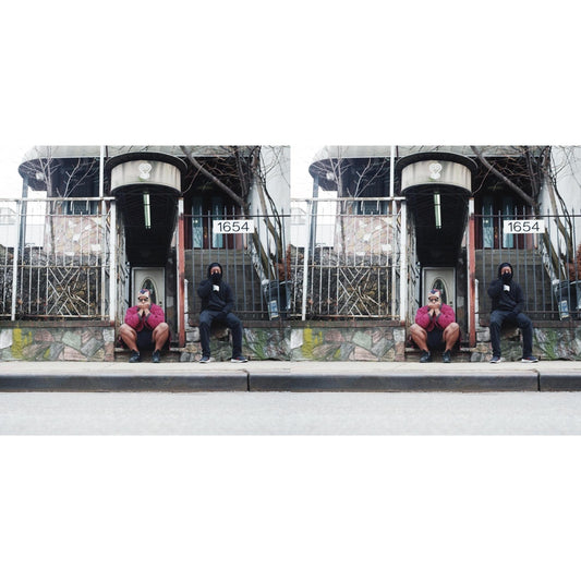 Armand Hammer - We Buy Diabetic Test Strips (2LP/Grape Vinyl) & We Buy Diabetic Test Strips