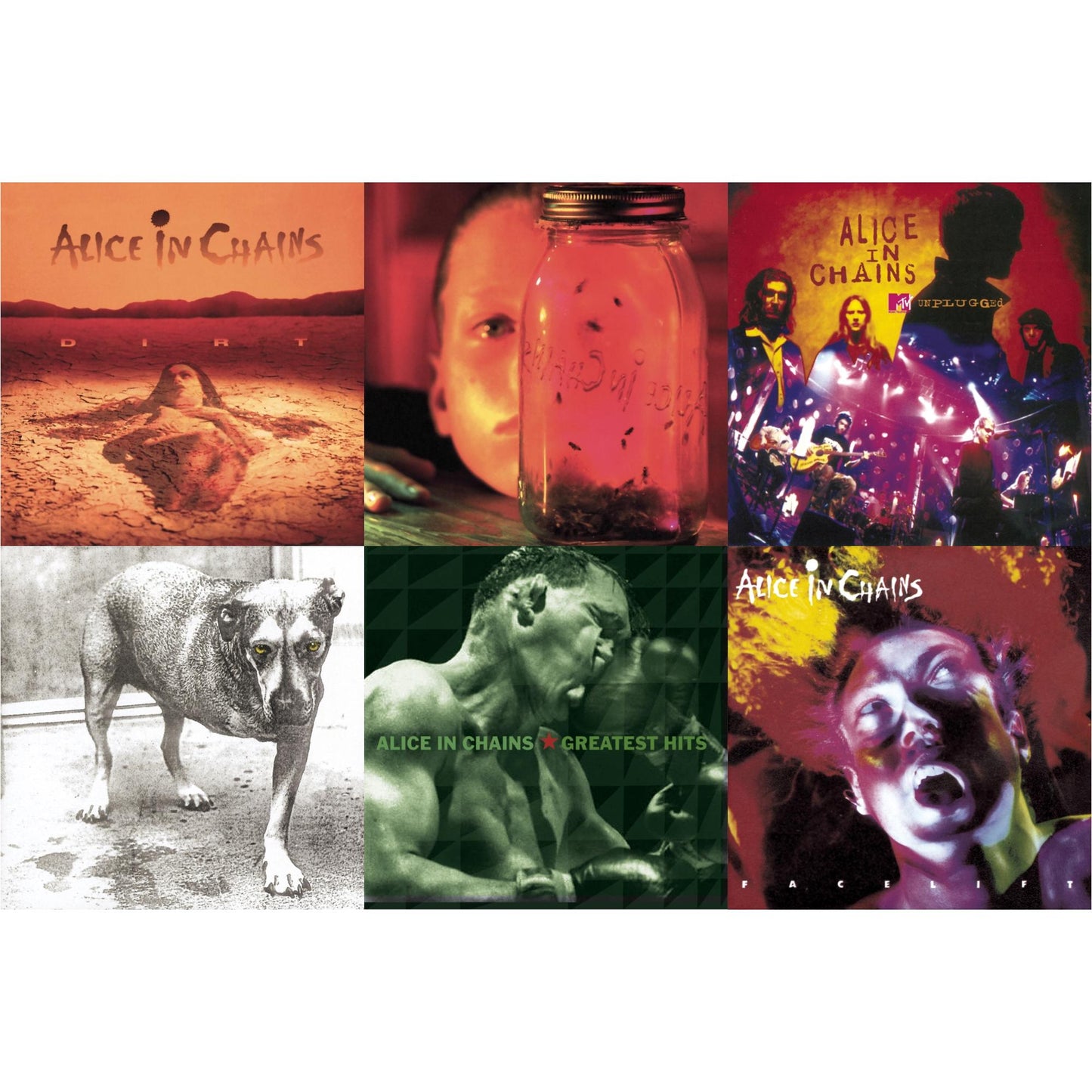 Alice In Chains - Dirt & Jar Of Flies & Greatest Hits & Unplugged & Facelift & Alice In Chains - CD Bundle
