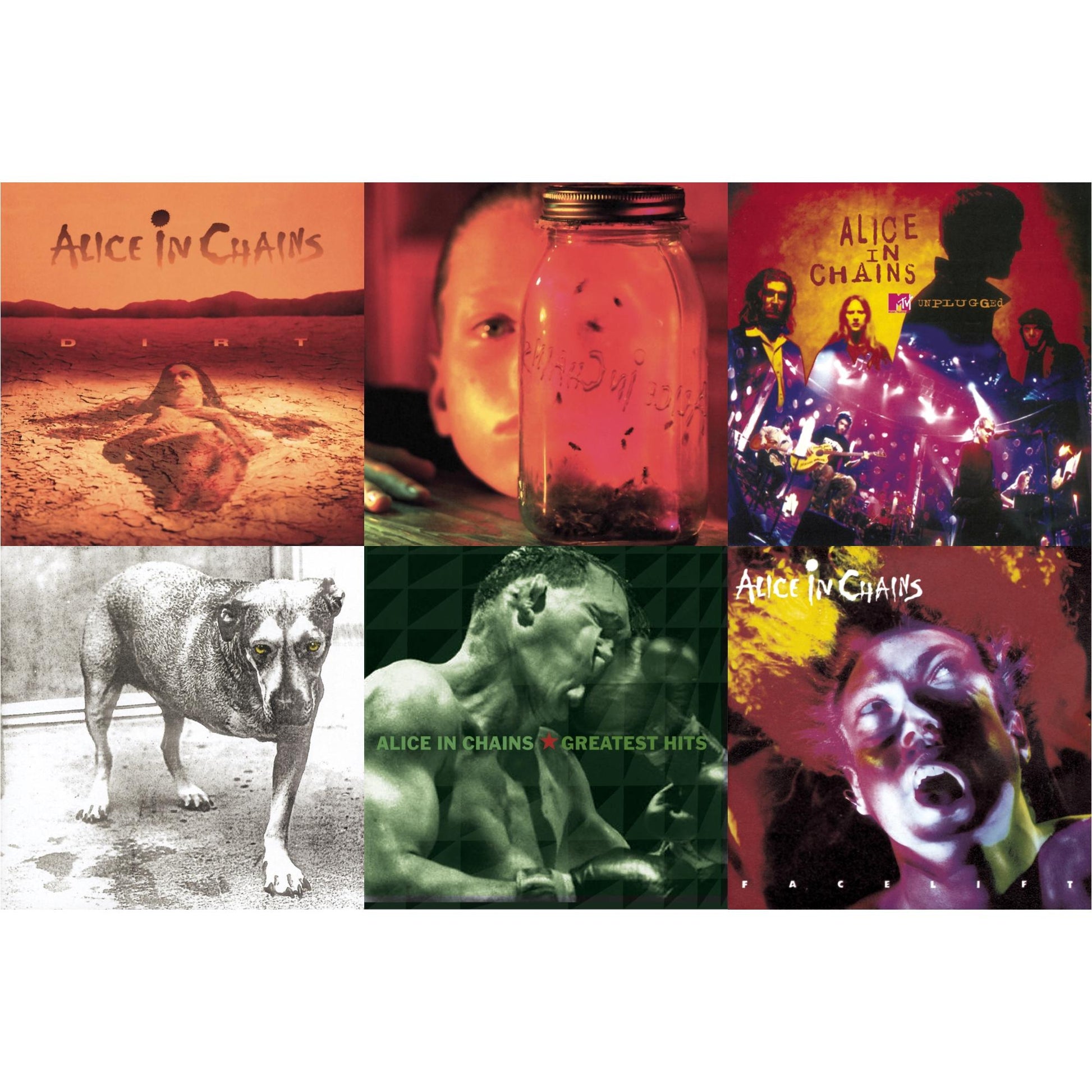 Alice In Chains - Dirt & Jar Of Flies & Greatest Hits & Unplugged & Facelift & Alice In Chains - CD Bundle