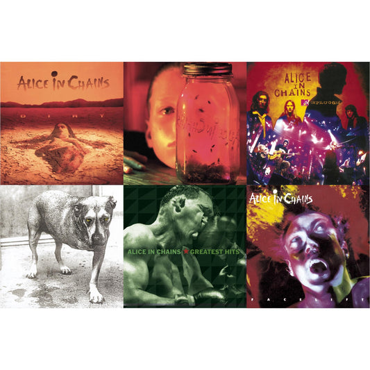 Alice In Chains - Dirt & Jar Of Flies & Greatest Hits & Unplugged & Facelift & Alice In Chains - CD Bundle