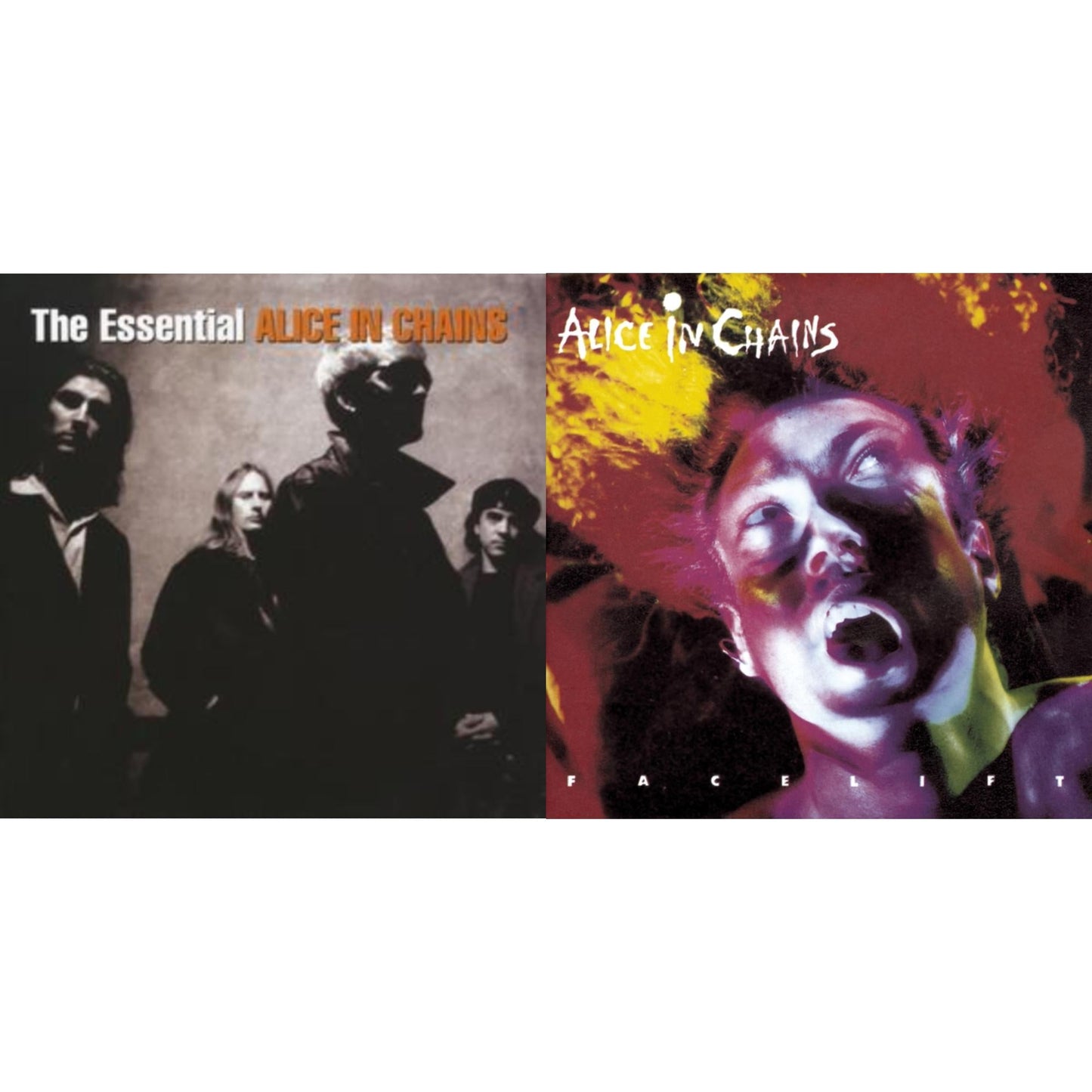 Alice In Chains - Essential Alice In Chains & Facelift - CD Bundle