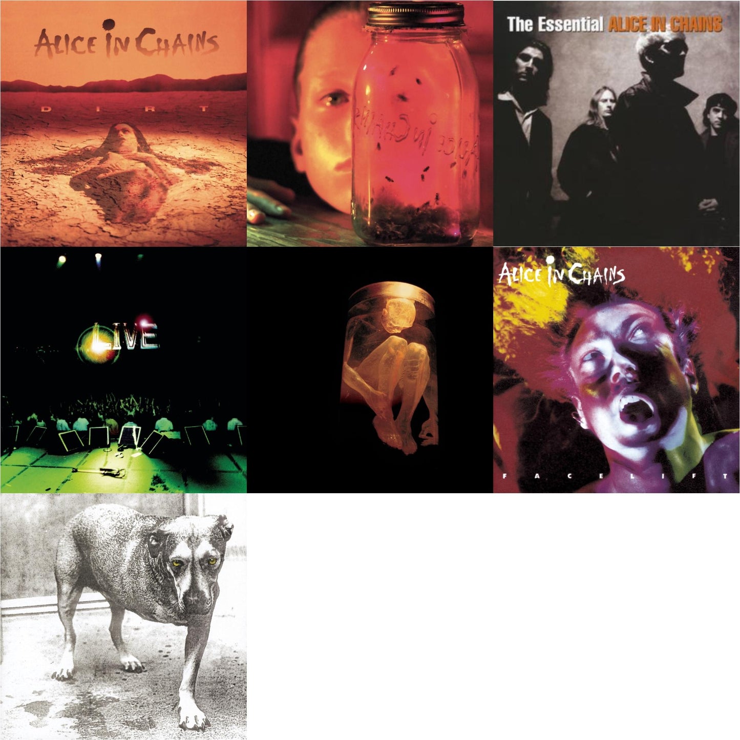 Alice In Chains - Dirt & Jar Of Flies & Essential Alice In Chains & Live & Nothing Safe: Best Of The Box & Facelift & Alice In Chains - CD Bundle