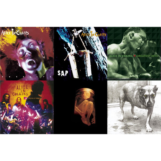 Alice In Chains - Greatest Hits & Unplugged & Sap & Nothing Safe: Best Of The Box & Facelift & Alice In Chains - CD Bundle