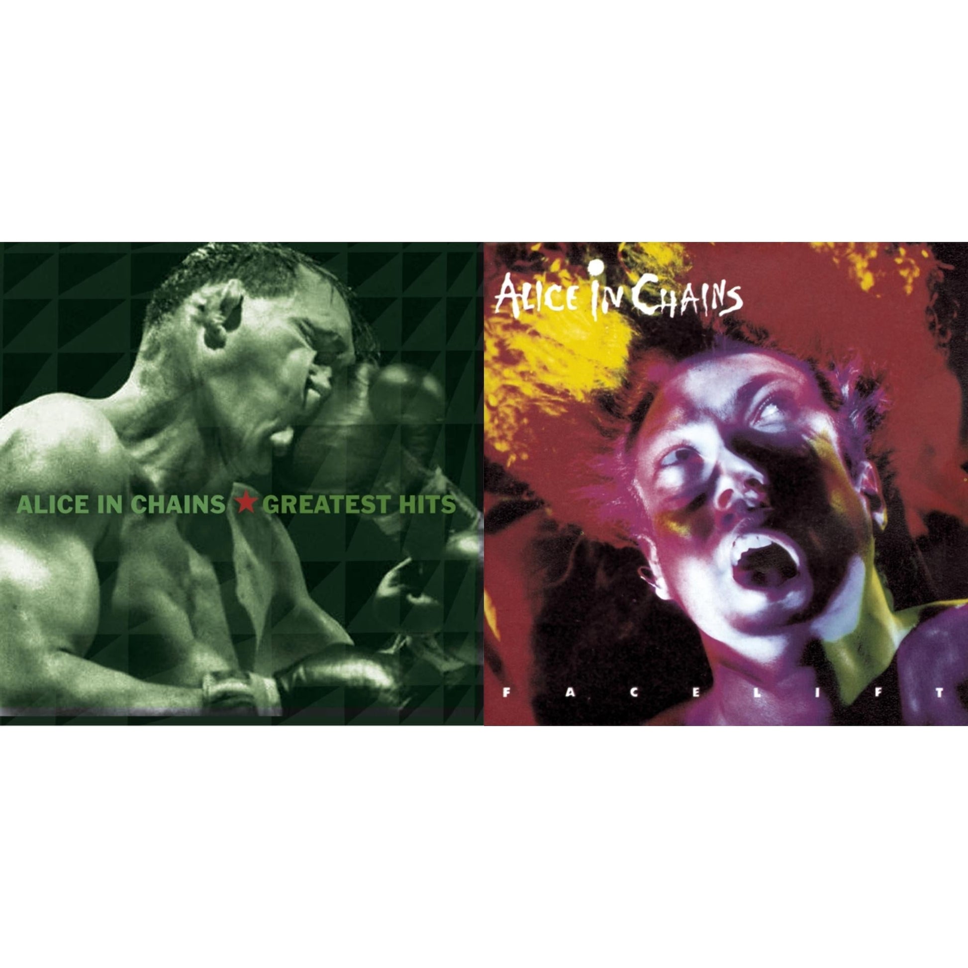 Alice In Chains - Greatest Hits & Facelift - CD Bundle