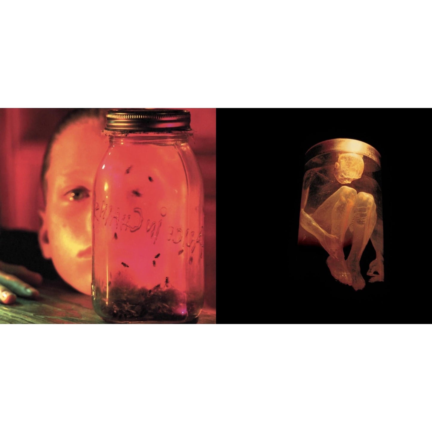 Alice In Chains - Jar Of Flies & Nothing Safe: Best Of The Box - CD Bundle