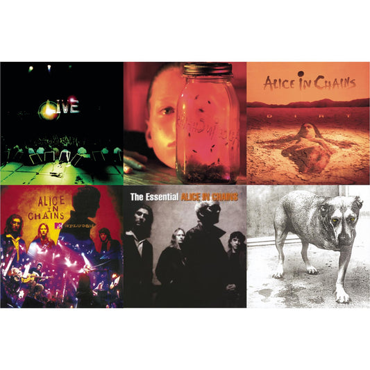 Alice In Chains - Dirt & Jar Of Flies & Essential Alice In Chains & Unplugged & Live & Alice In Chains - CD Bundle
