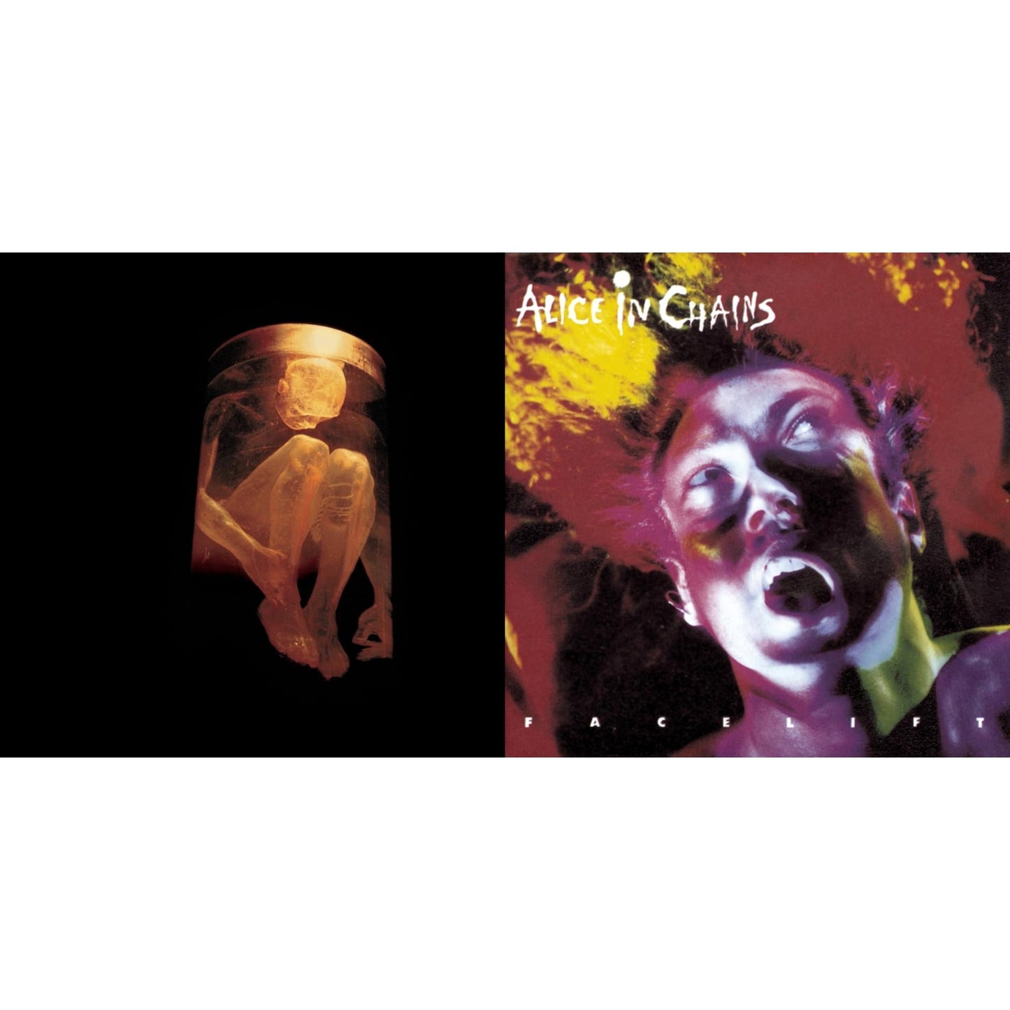 Alice In Chains - Nothing Safe: Best Of The Box & Facelift - CD Bundle