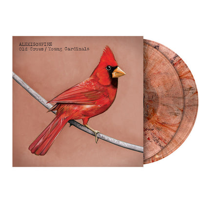 Alexisonfire x BrooklynVegan Limited Vinyl Box Set & Special Edition Magazine