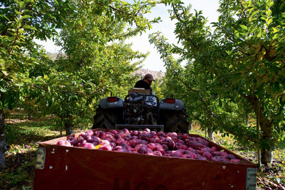 A Year in the Fields: The State of the Washington Farmer Book