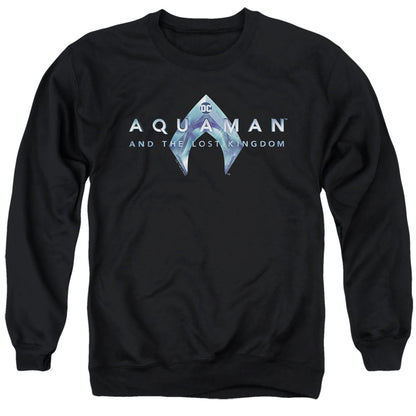 Aquaman And The Lost Kingdom Logo Mens Crewneck Sweatshirt Black