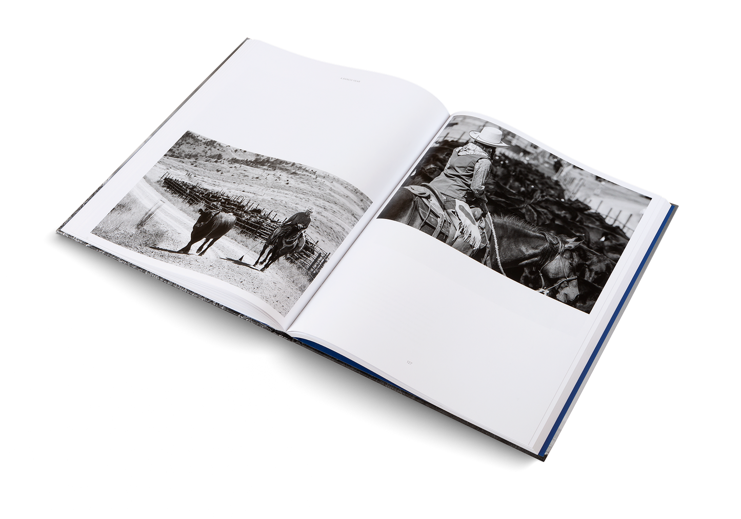 A Ranch Year Book