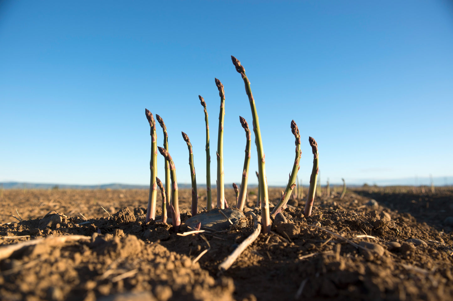 A Year in the Fields: The State of the Washington Farmer Book