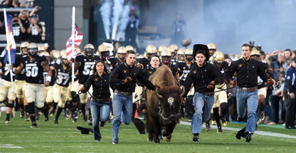 The Rise: The University of Colorado Buffaloes' Historic Turnaround Season Book