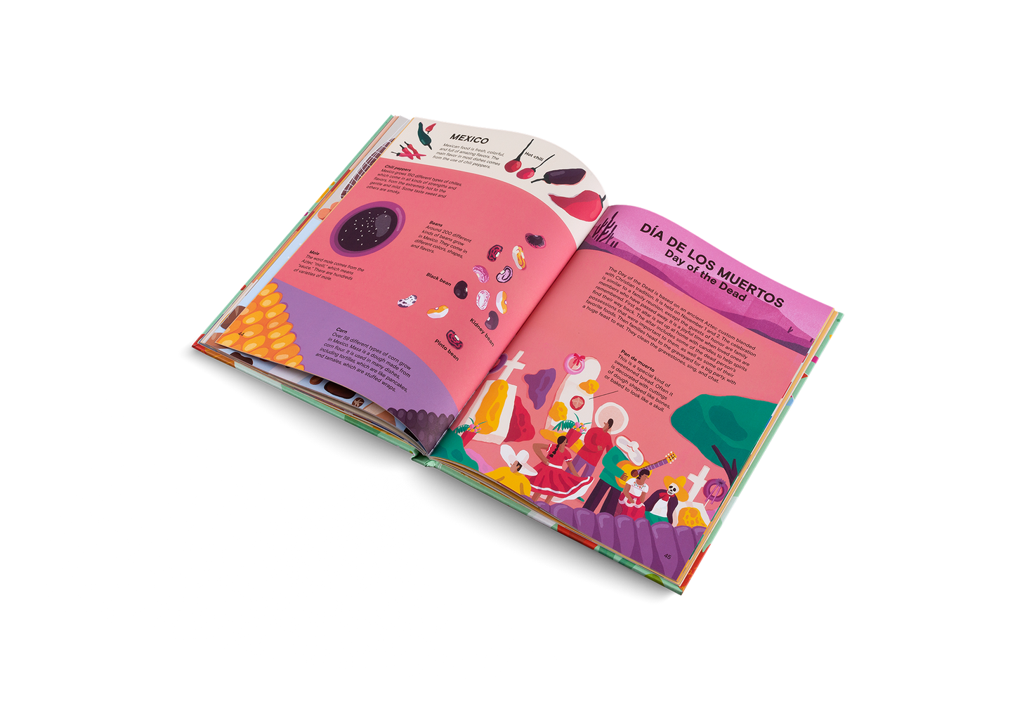 A Taste of the World (New Edition) Book