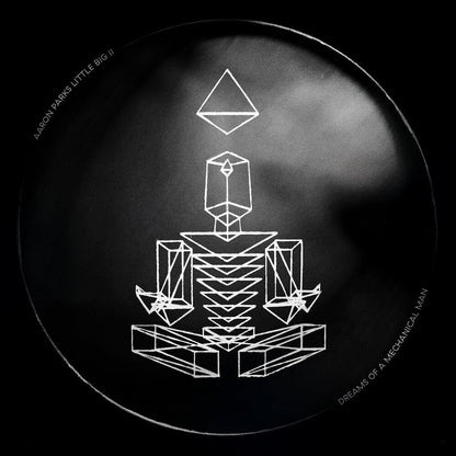 Aaron Parks – Little Big Ii: Dreams Of A Mechanical Man (2-LP Vinyl) Vinyl Record