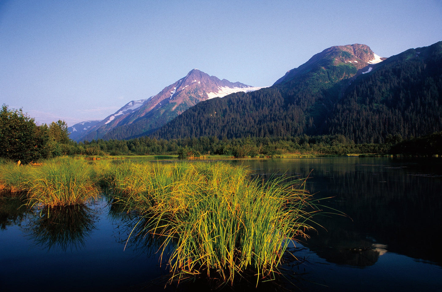 Connecting with Nature: Portraits and Essays on Nature and Man Book
